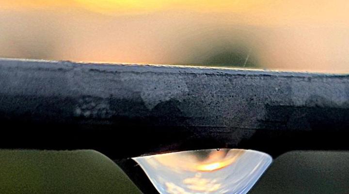 fot. Krzysztof Wałecki